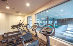 palestra